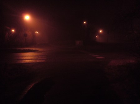 14 januari 2009 Dimma