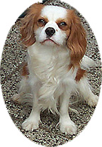 James Bond, alias 007