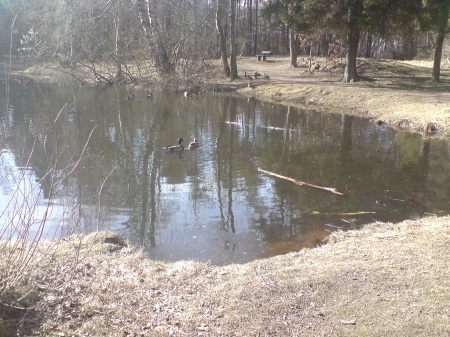 Änder vid Svarta Havet