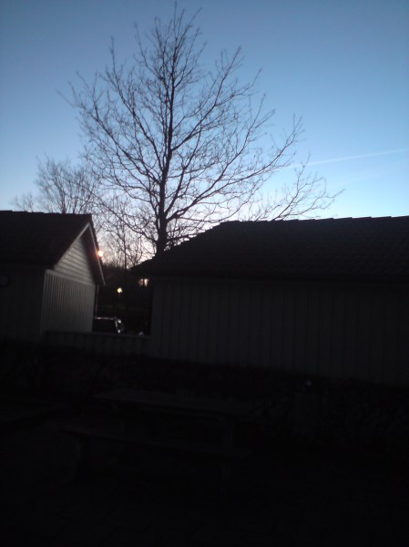 Det blir en klar o kylig natt