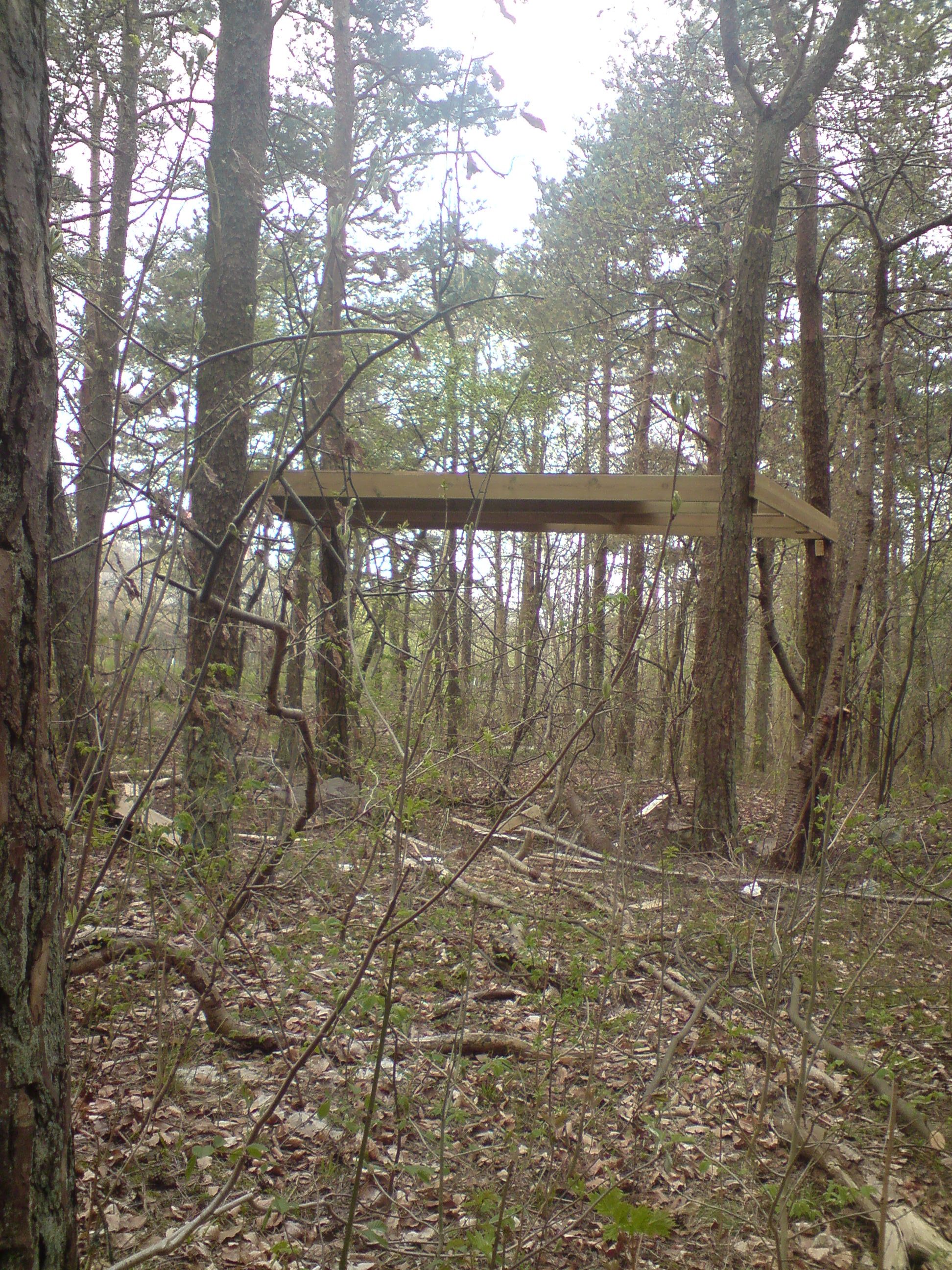 Koja utan byggnadslov