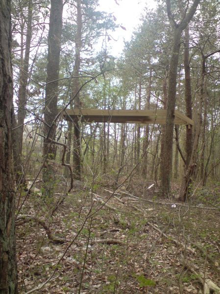 Koja utan byggnadslov