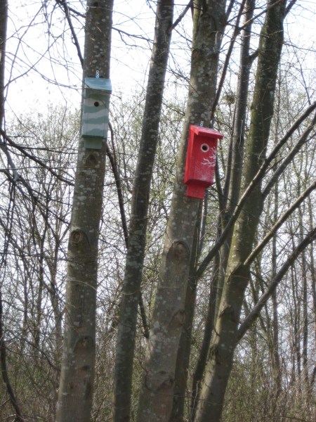 Fågelholkar vid skolan