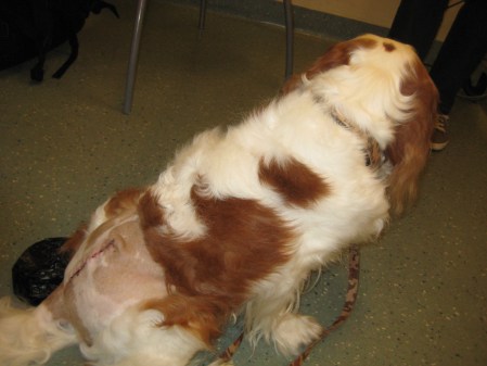 James nyopererad James nyopererad