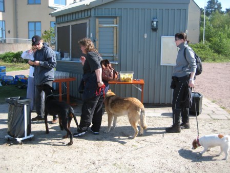 Kurortens vattenhål