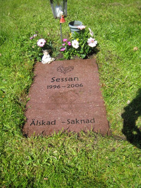 Sessans grav Sessans grav