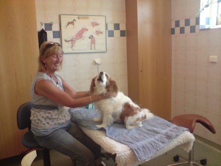 James sitter  o skäller