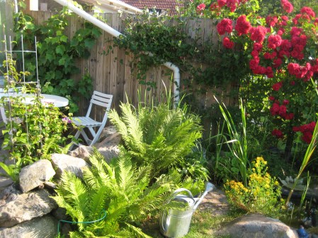 Plats för morgonfika