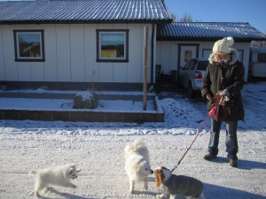 Stella med Bonnie och Nalle