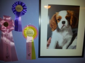 Nell och prisrosetterna