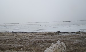 ???????????????????????????????