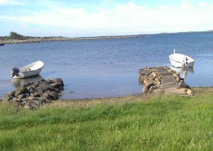 IMG_20140527_094750 stor