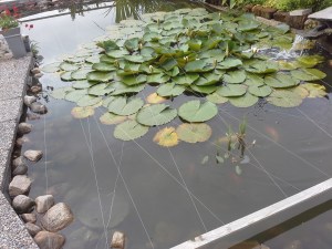 1434870590472-228620910